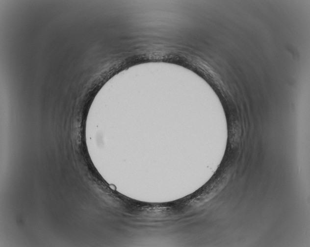 X0000111250497200907301330