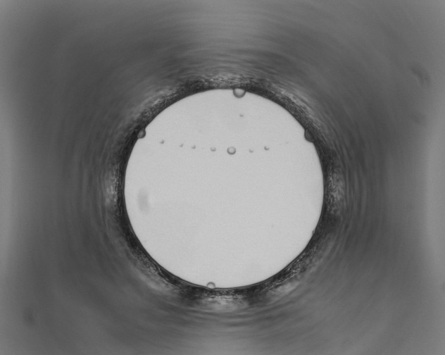 X0000111250499200907301330