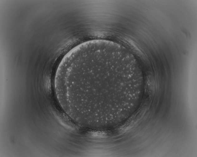 X0000111250500200907301330