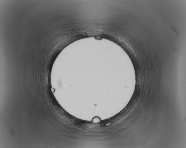 X0000111250501200907301330