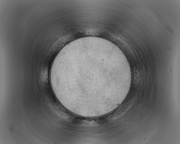 X0000111250502200907301330