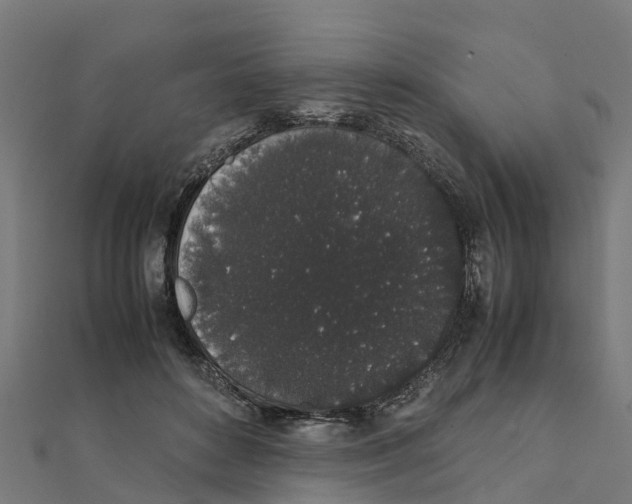 X0000111250504200907301330