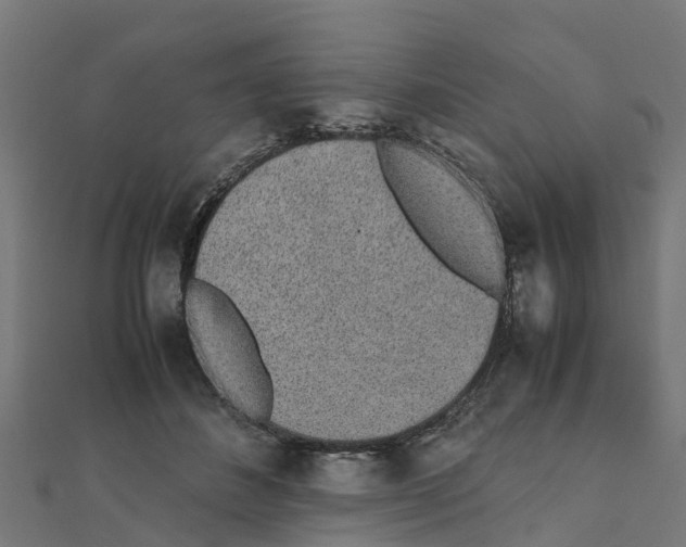 X0000111250508200907301330