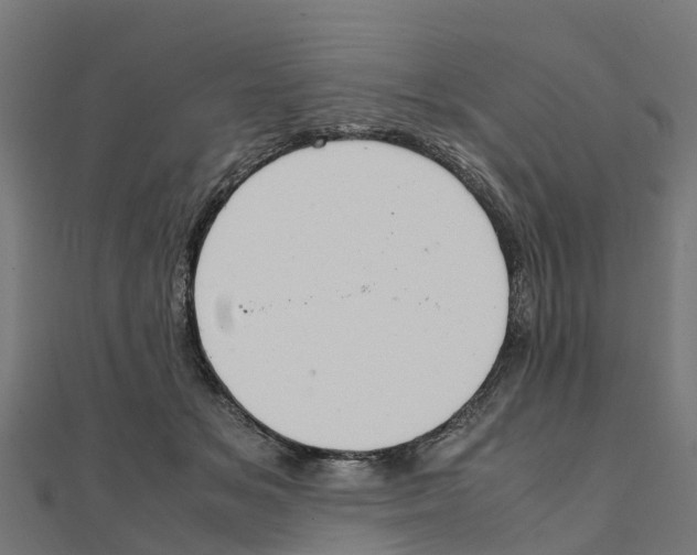 X0000111250509200907301330