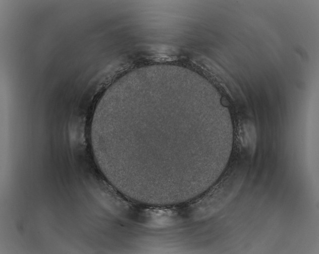 X0000111250512200907301330