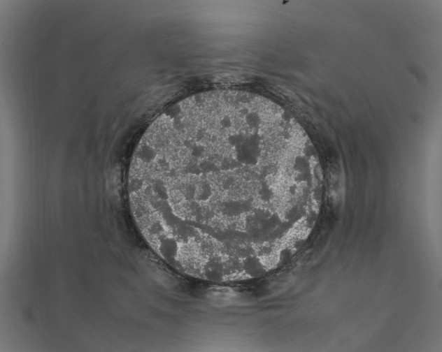 X0000111250519200907301330