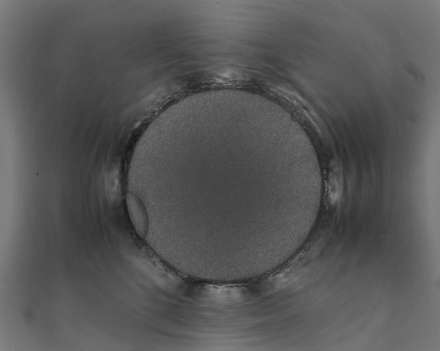 X0000111250520200907301329