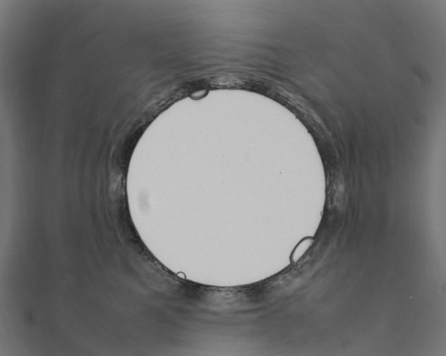 X0000111250521200907301329