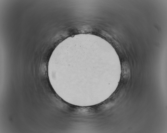 X0000111250523200907301329