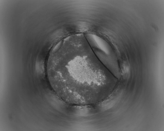 X0000111250524200907301329