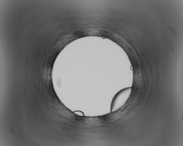 X0000111250525200907301329