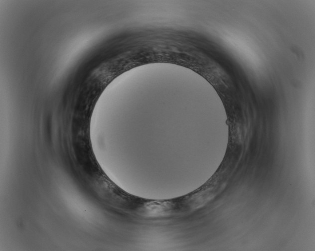 X0000111250526200907301329