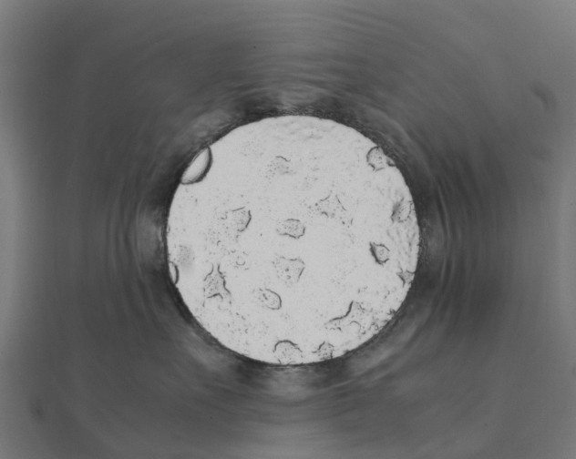 X0000111250527200907301329