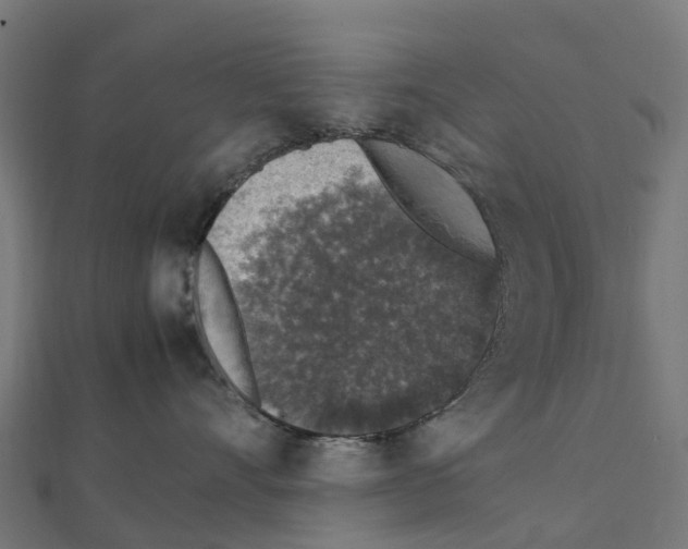 X0000111250528200907301329