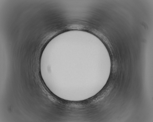 X0000111250529200907301329