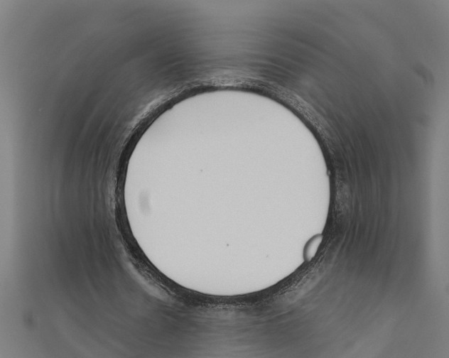 X0000111250530200907301329