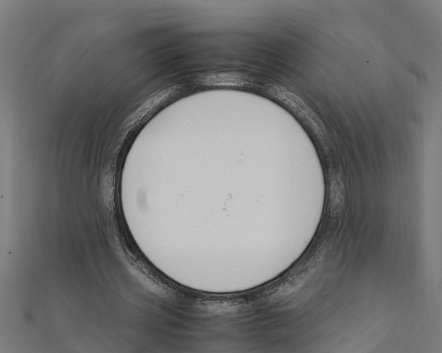 X0000111250533200907301329