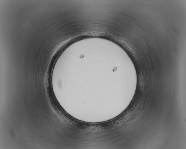 X0000111250536200907301329