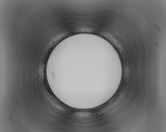 X0000111250537200907301329