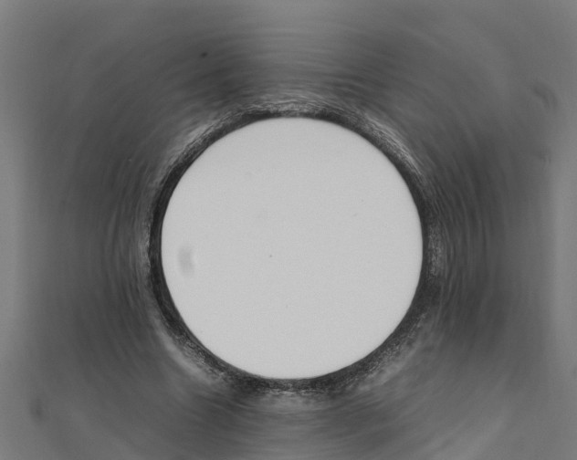 X0000111250538200907301329