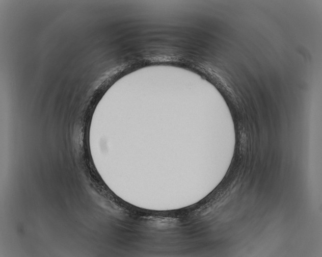 X0000111250539200907301329