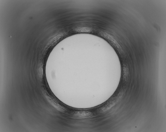 X0000111250541200907301329