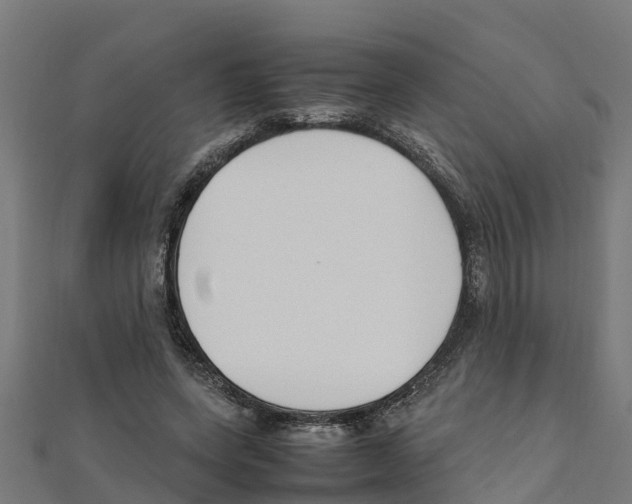 X0000111250543200907301329