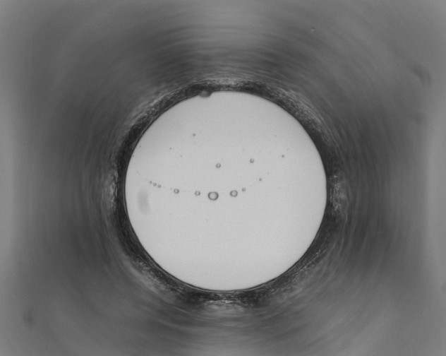 X0000111250544200907301329