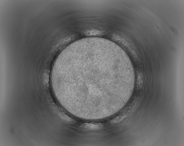 X0000111250545200907301329