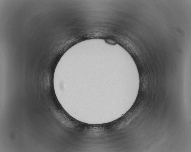 X0000111250546200907301329