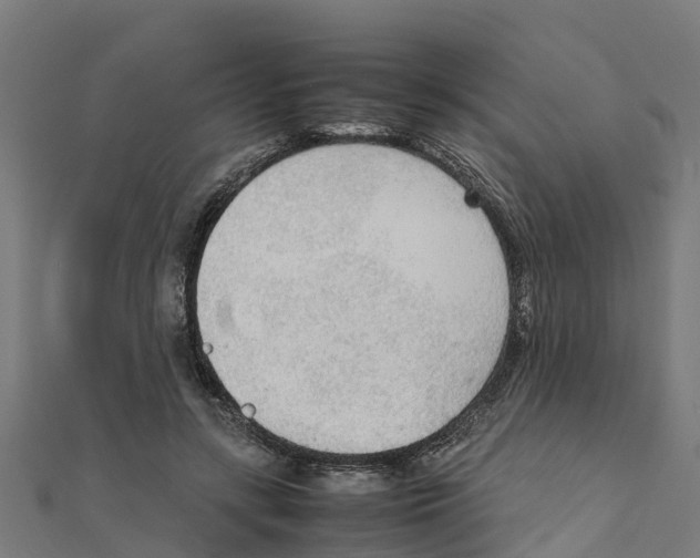 X0000111250547200907301329