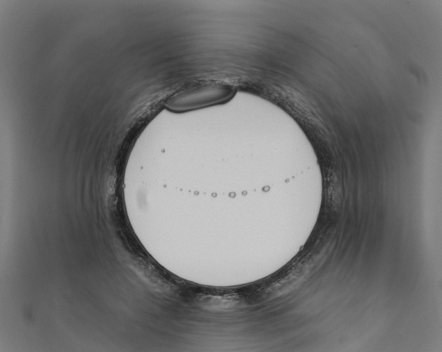 X0000111250548200907301329