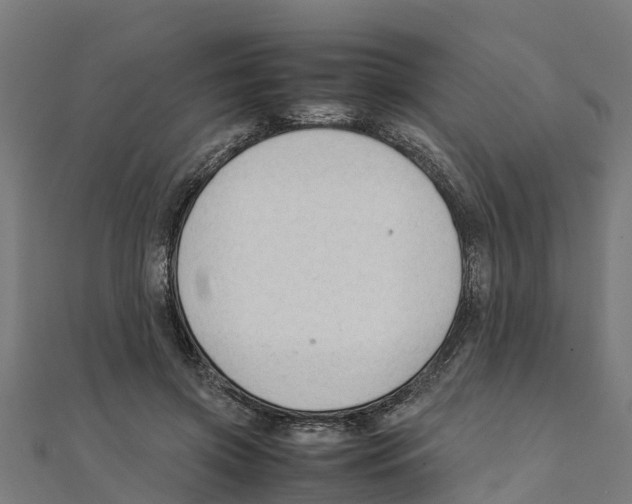 X0000111250549200907301329