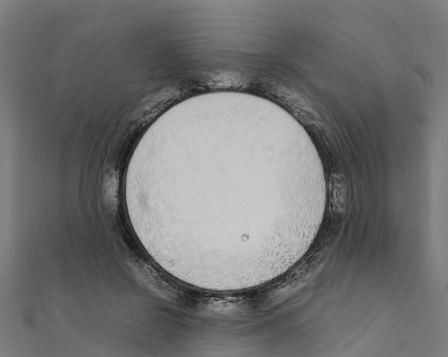 X0000111250550200907301329