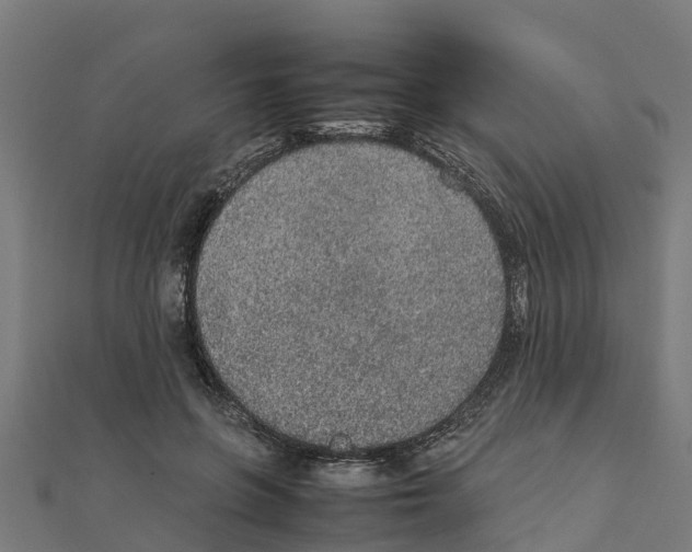 X0000111250551200907301329