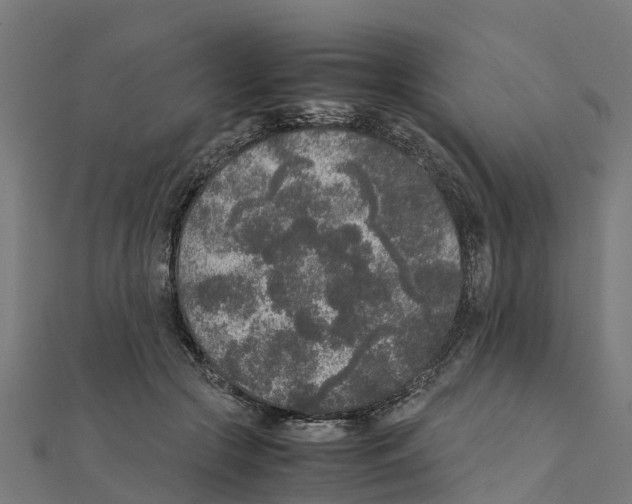 X0000111250553200907301329