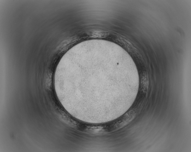 X0000111250554200907301329