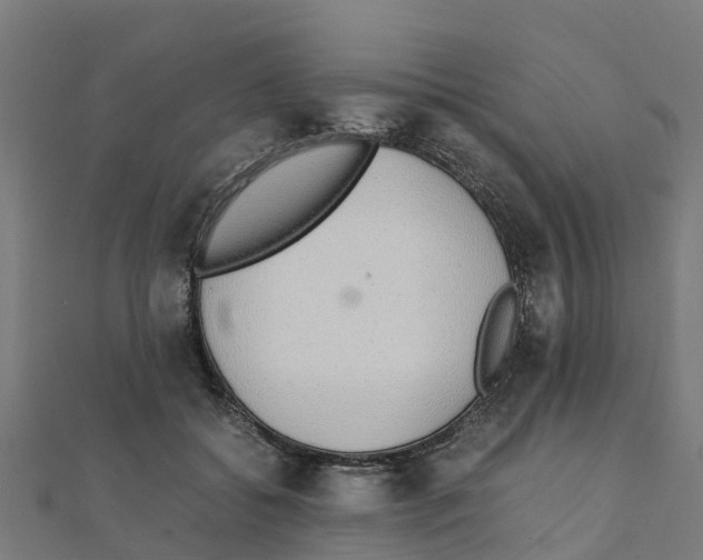 X0000111250556200907301329