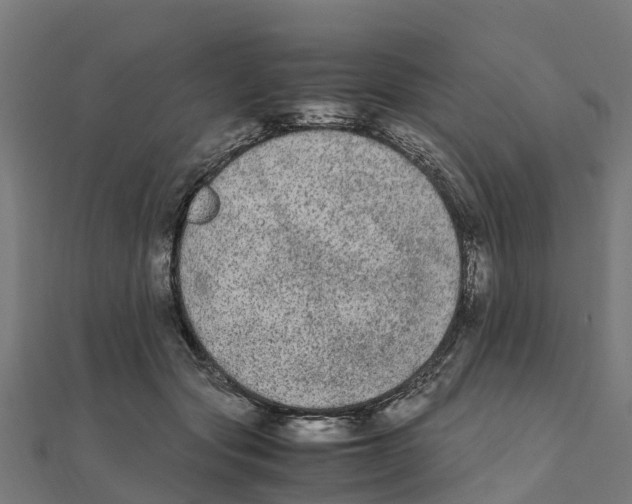 X0000111250557200907301329