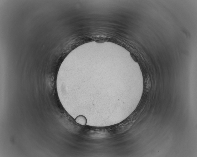 X0000111250559200907301329