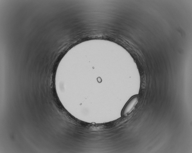 X0000111250560200907301329