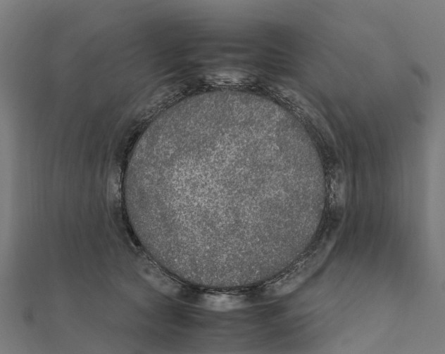 X0000111250561200907301329