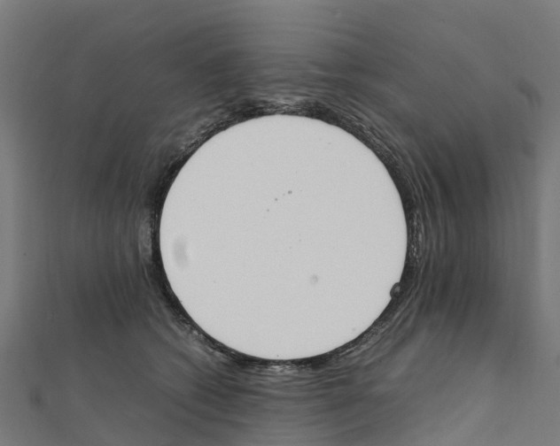 X0000111250562200907301329