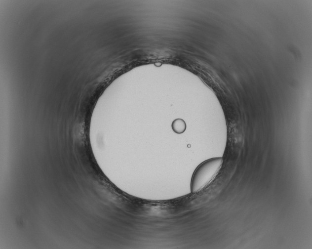 X0000111250564200907301329