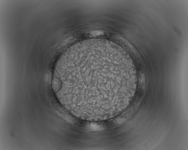 X0000111250565200907301329