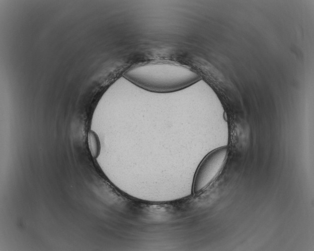 X0000111250566200907301329