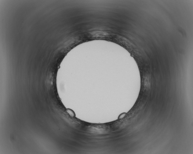 X0000111250567200907301329