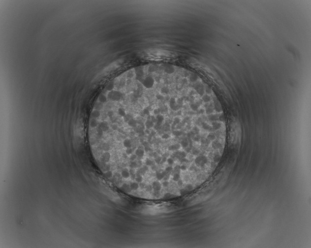 X0000111250569200907301329