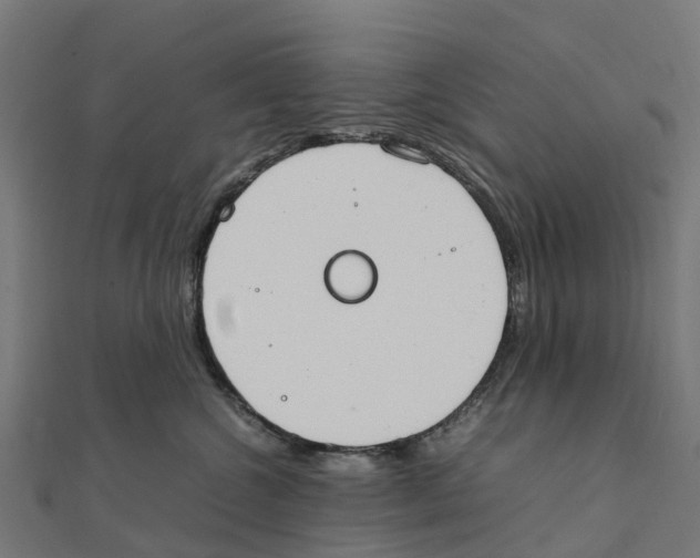 X0000111250572200907301329