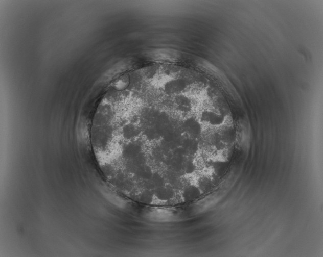 X0000111250573200907301329